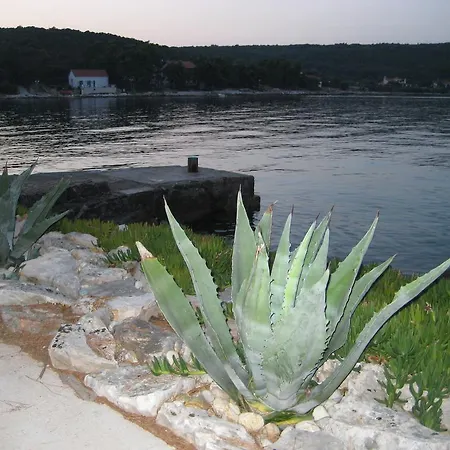 Lara Lejlighed Žman